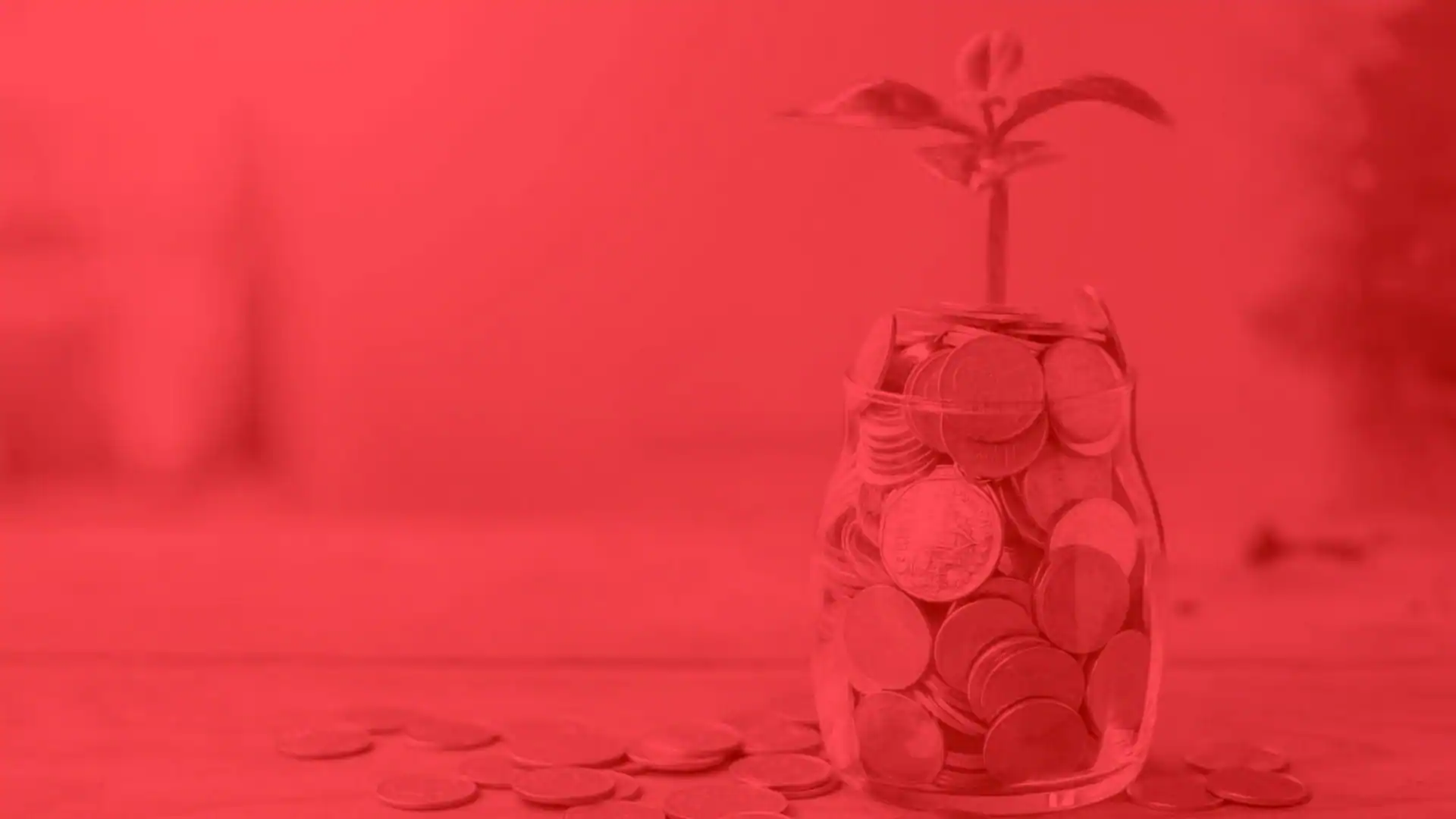 Como hacer crecer tu negocio - Quimera Estudio