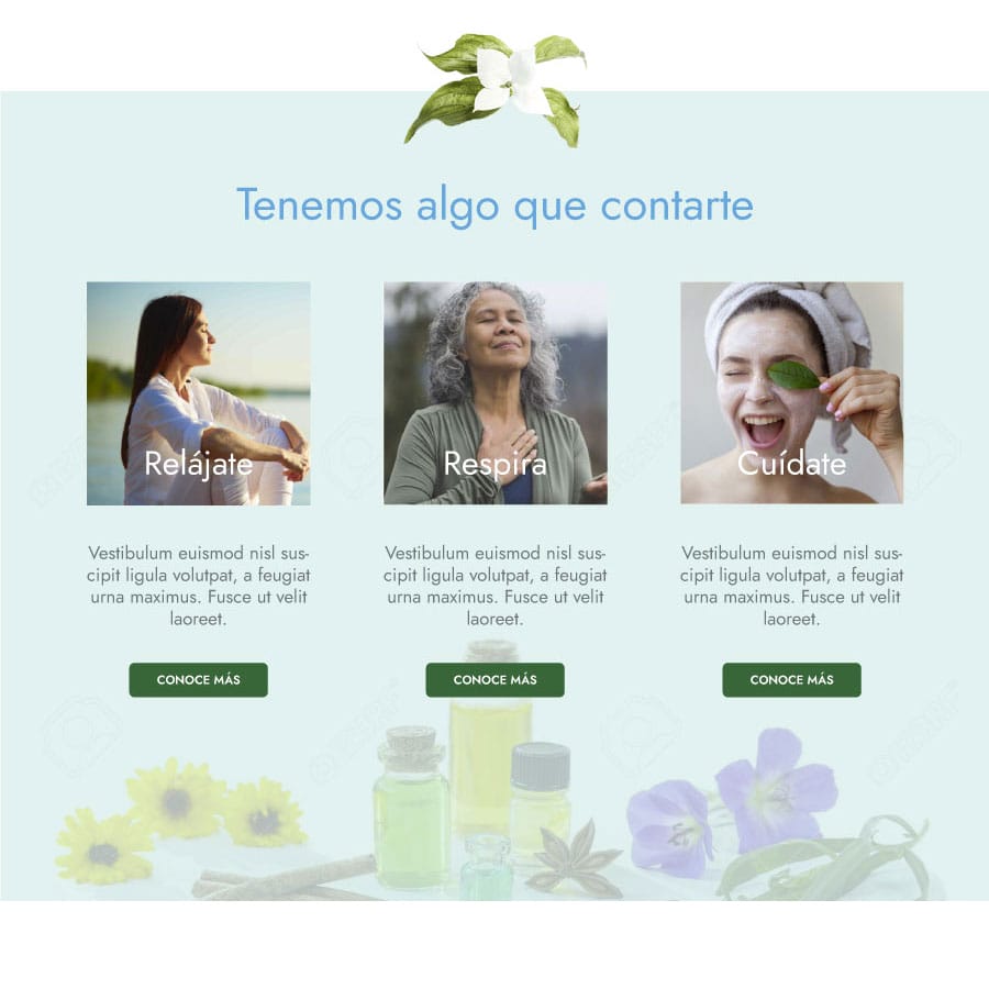 Sitio web Entorno Esencial por Quimera Estudio