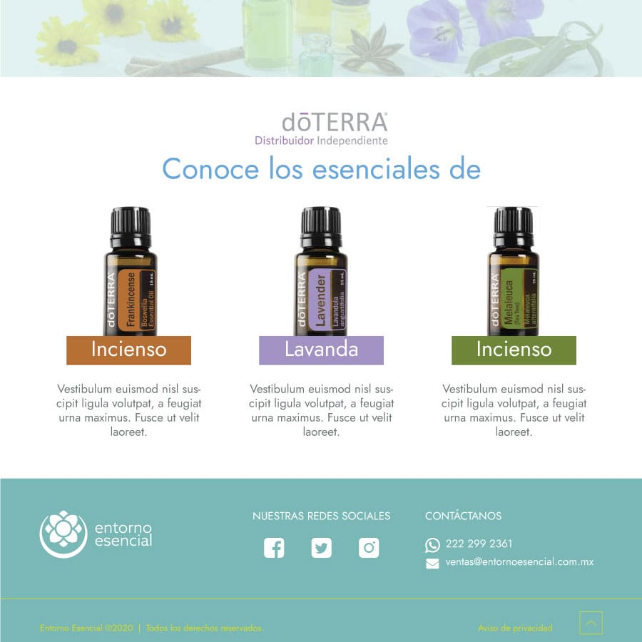 Sitio web Entorno Esencial por Quimera Estudio