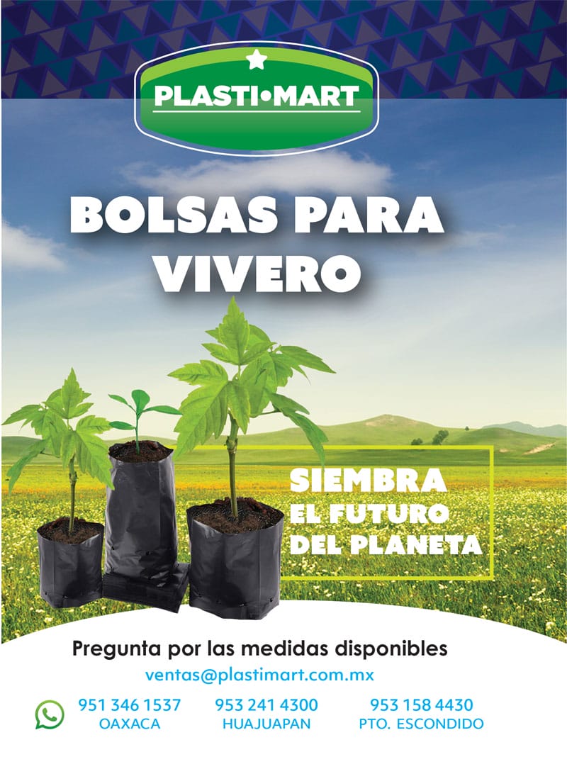 cartel Plastimart